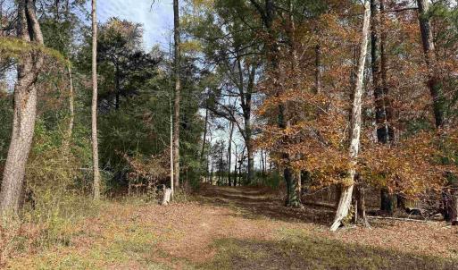 Photo #28 of BRIDGEPORT RD, ARVONIA, VA 29.4 acres