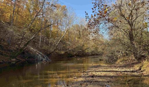 Photo #57 of BRIDGEPORT RD, ARVONIA, VA 29.4 acres