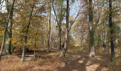 Photo #25 of BRIDGEPORT RD, ARVONIA, VA 29.4 acres