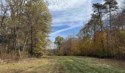 Photo #8 of BRIDGEPORT RD, ARVONIA, VA 29.4 acres