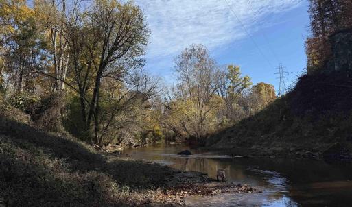 Photo #14 of BRIDGEPORT RD, ARVONIA, VA 29.4 acres