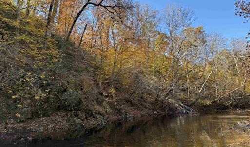 Photo #60 of BRIDGEPORT RD, ARVONIA, VA 29.4 acres