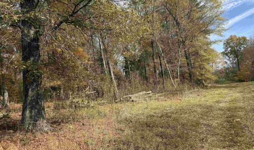 Photo #29 of BRIDGEPORT RD, ARVONIA, VA 29.4 acres