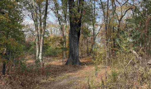 Photo #32 of BRIDGEPORT RD, ARVONIA, VA 29.4 acres