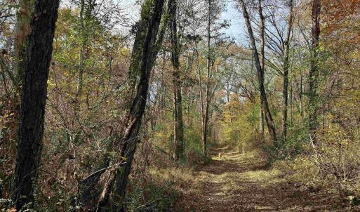 Photo #43 of BRIDGEPORT RD, ARVONIA, VA 29.4 acres