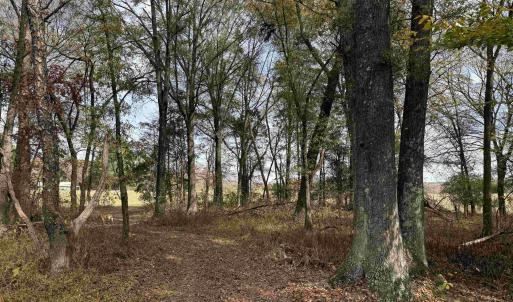 Photo #26 of BRIDGEPORT RD, ARVONIA, VA 29.4 acres