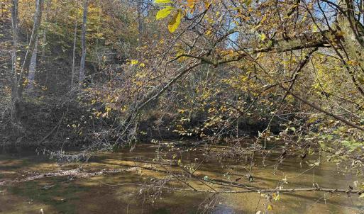 Photo #62 of BRIDGEPORT RD, ARVONIA, VA 29.4 acres