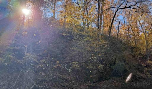 Photo #59 of BRIDGEPORT RD, ARVONIA, VA 29.4 acres