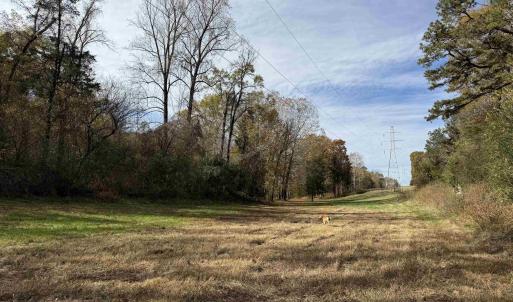 Photo #39 of BRIDGEPORT RD, ARVONIA, VA 29.4 acres