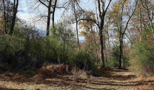 Photo #41 of BRIDGEPORT RD, ARVONIA, VA 29.4 acres