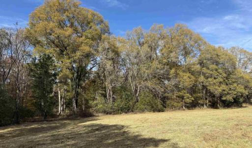 Photo #51 of BRIDGEPORT RD, ARVONIA, VA 29.4 acres