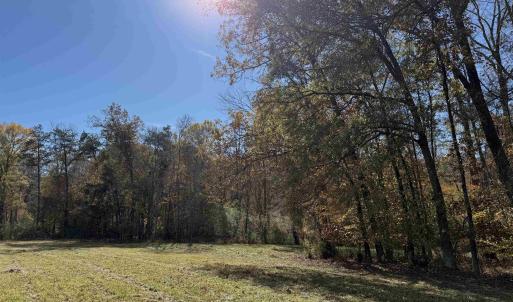 Photo #50 of BRIDGEPORT RD, ARVONIA, VA 29.4 acres