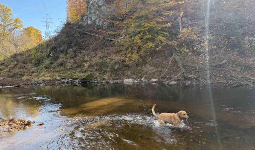Photo #1 of BRIDGEPORT RD, ARVONIA, VA 29.4 acres