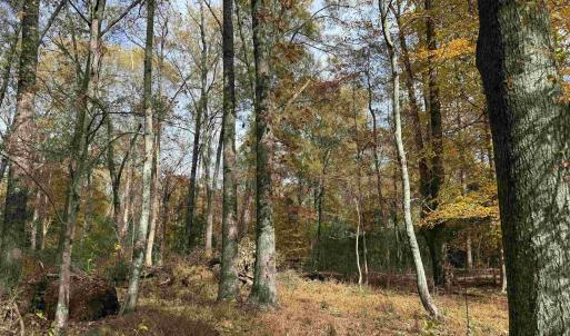 Photo #30 of BRIDGEPORT RD, ARVONIA, VA 29.4 acres