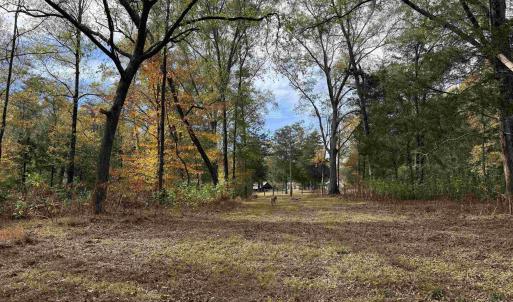 Photo #24 of BRIDGEPORT RD, ARVONIA, VA 29.4 acres