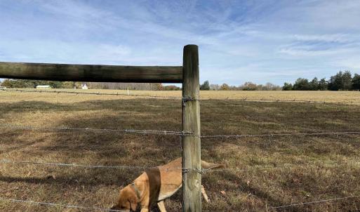 Photo #34 of BRIDGEPORT RD, ARVONIA, VA 29.4 acres
