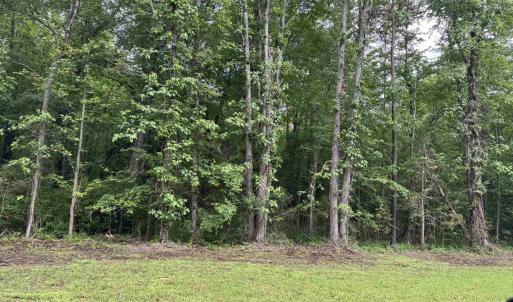 Photo #2 of JACK JOUETT RD, ZION CROSSROADS, VA 32.3 acres