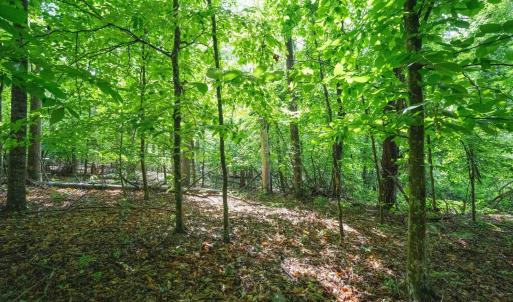 Photo #23 of GILBERT STATION RD, BARBOURSVILLE, VA 7.7 acres