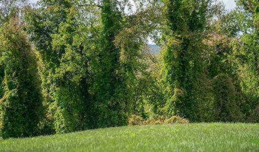 Photo #25 of GILBERT STATION RD, BARBOURSVILLE, VA 7.7 acres