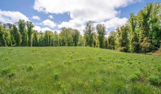 Photo #7 of GILBERT STATION RD, BARBOURSVILLE, VA 7.7 acres