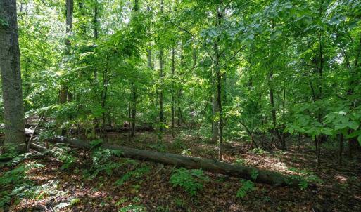 Photo #24 of GILBERT STATION RD, BARBOURSVILLE, VA 7.7 acres
