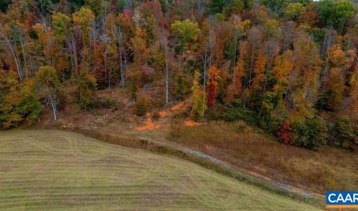 Photo #12 of WILLOW BRANCH LN, FABER, VA 14.8 acres