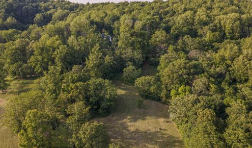 Photo #23 of CARPENTER DR, NORTH GARDEN, VA 27.3 acres