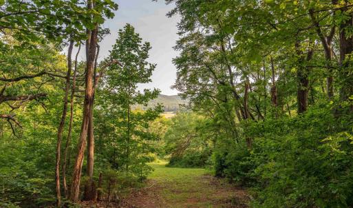 Photo #22 of CARPENTER DR, NORTH GARDEN, VA 27.3 acres