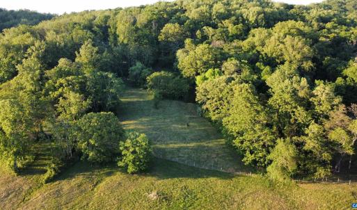 Photo #5 of CARPENTER DR, NORTH GARDEN, VA 27.3 acres