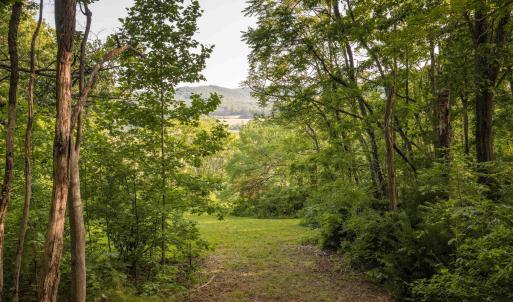 Photo #14 of CARPENTER DR, NORTH GARDEN, VA 27.3 acres