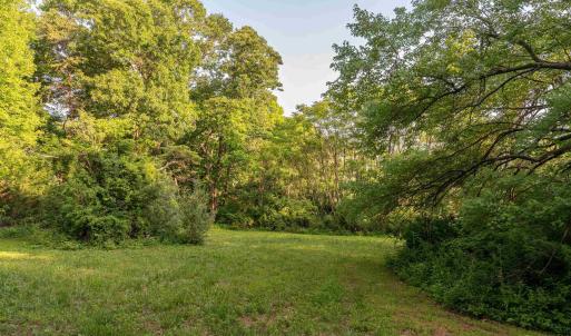 Photo #26 of CARPENTER DR, NORTH GARDEN, VA 27.3 acres