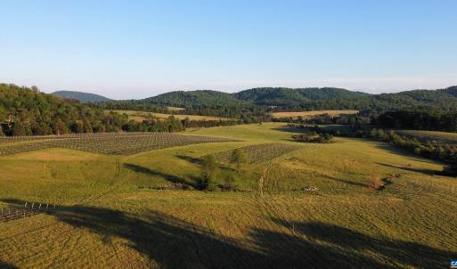 Photo #6 of CARPENTER DR, NORTH GARDEN, VA 27.3 acres