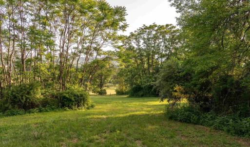 Photo #28 of CARPENTER DR, NORTH GARDEN, VA 27.3 acres