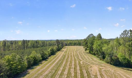 Photo #4 of Lot 5 SHORES RD, PALMYRA, VA 12.2 acres