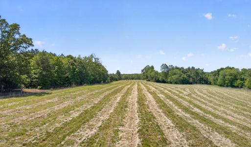 Photo #3 of Lot 5 SHORES RD, PALMYRA, VA 12.2 acres