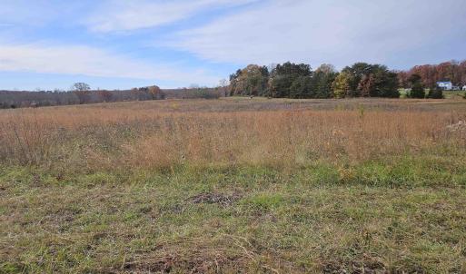 Photo #8 of 5.3 Ac JAMES ANDERSON HWY, BUCKINGHAM, VA 5.3 acres
