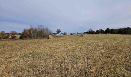 Photo #2 of 5.3 Ac JAMES ANDERSON HWY, BUCKINGHAM, VA 5.3 acres