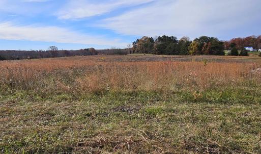 Photo #9 of 5.3 Ac JAMES ANDERSON HWY, BUCKINGHAM, VA 5.3 acres