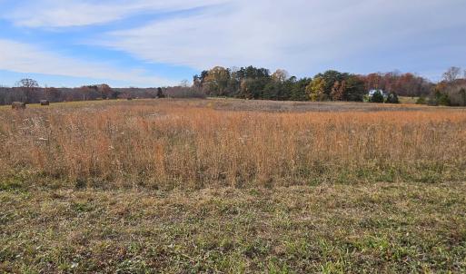 Photo #10 of 5.3 Ac JAMES ANDERSON HWY, BUCKINGHAM, VA 5.3 acres