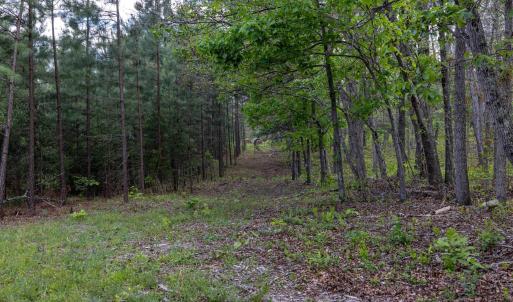 Photo #43 of BOLIVER RD, FORT VALLEY, VA 23.2 acres