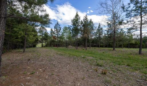 Photo #28 of BOLIVER RD, FORT VALLEY, VA 23.2 acres