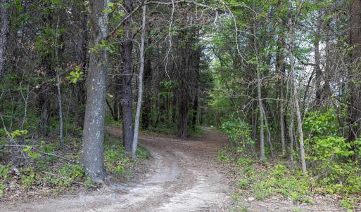 Photo #30 of BOLIVER RD, FORT VALLEY, VA 23.2 acres