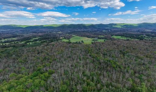 Photo #17 of BOLIVER RD, FORT VALLEY, VA 23.2 acres