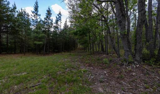 Photo #44 of BOLIVER RD, FORT VALLEY, VA 23.2 acres
