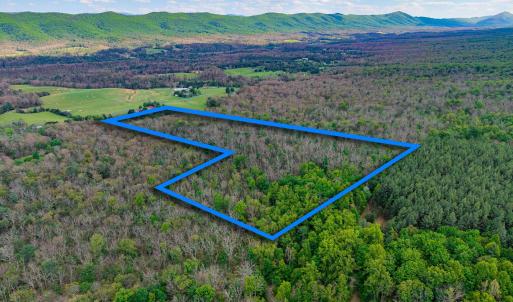 Photo #15 of BOLIVER RD, FORT VALLEY, VA 23.2 acres