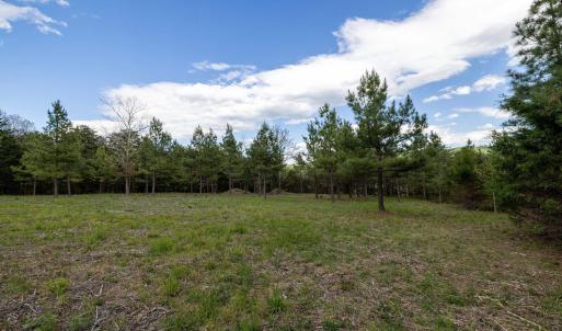 Photo #36 of BOLIVER RD, FORT VALLEY, VA 23.2 acres