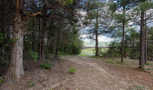 Photo #29 of BOLIVER RD, FORT VALLEY, VA 23.2 acres