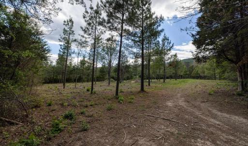 Photo #32 of BOLIVER RD, FORT VALLEY, VA 23.2 acres