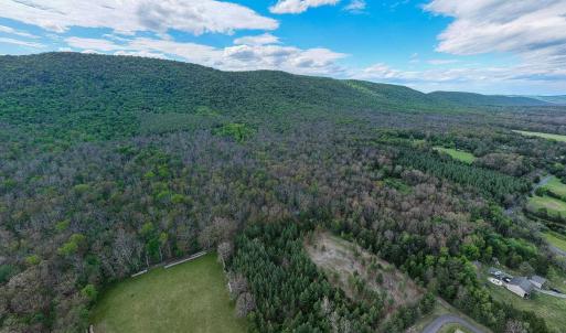 Photo #19 of BOLIVER RD, FORT VALLEY, VA 23.2 acres