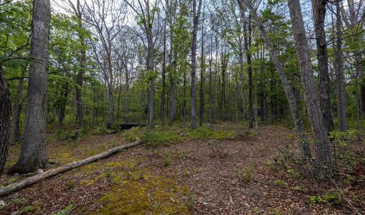Photo #53 of BOLIVER RD, FORT VALLEY, VA 23.2 acres